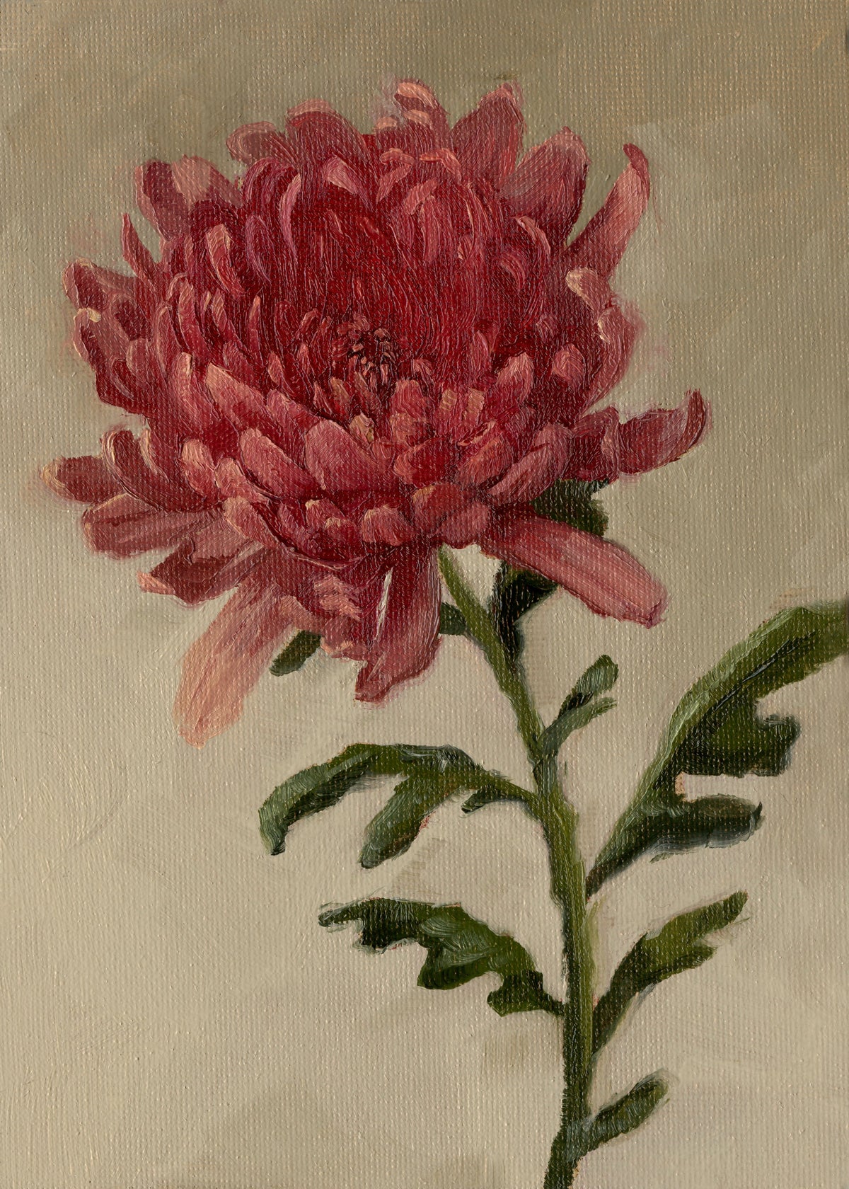 Chrysanthemum - Original Painting