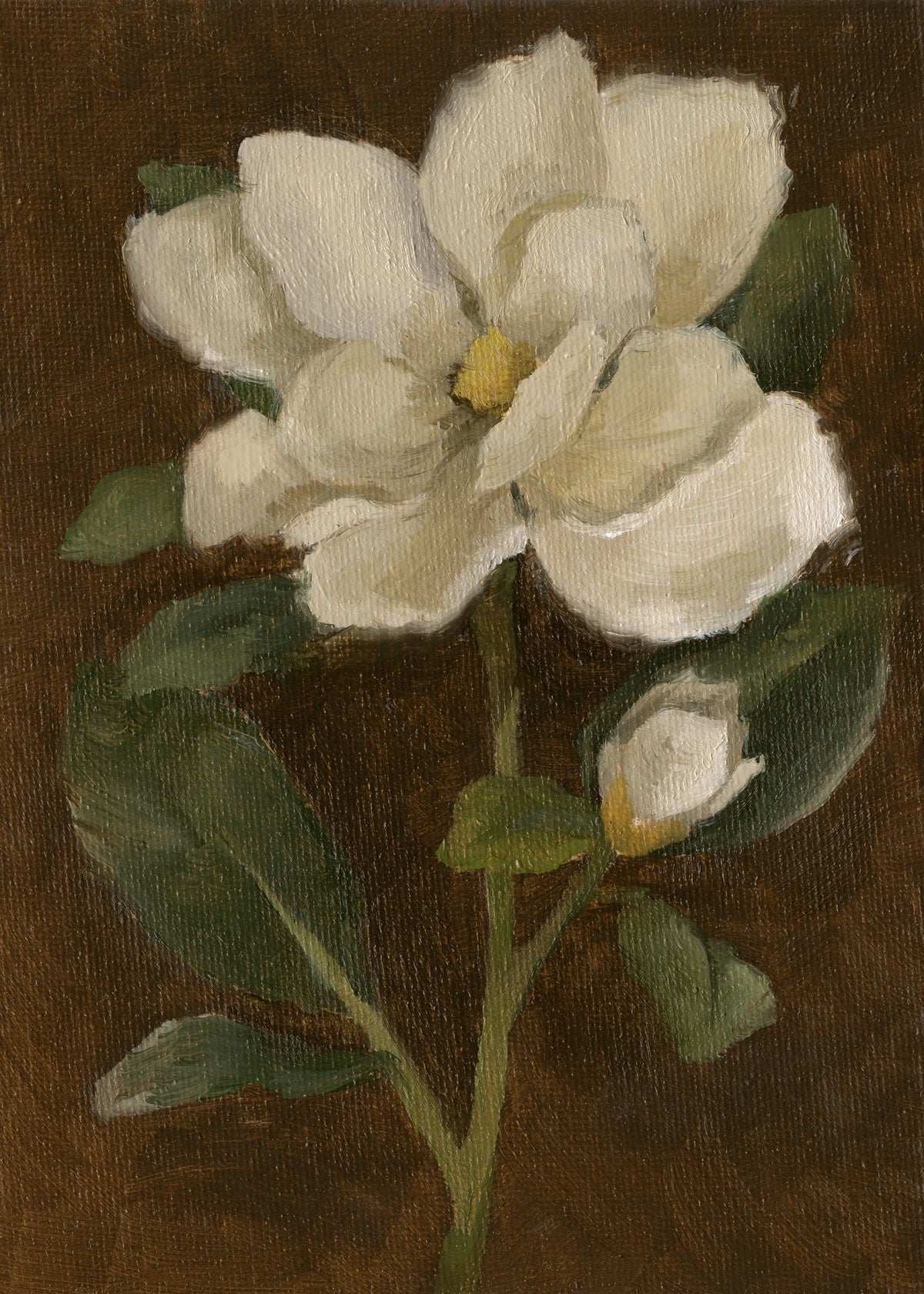 Magnolia - Original Painting
