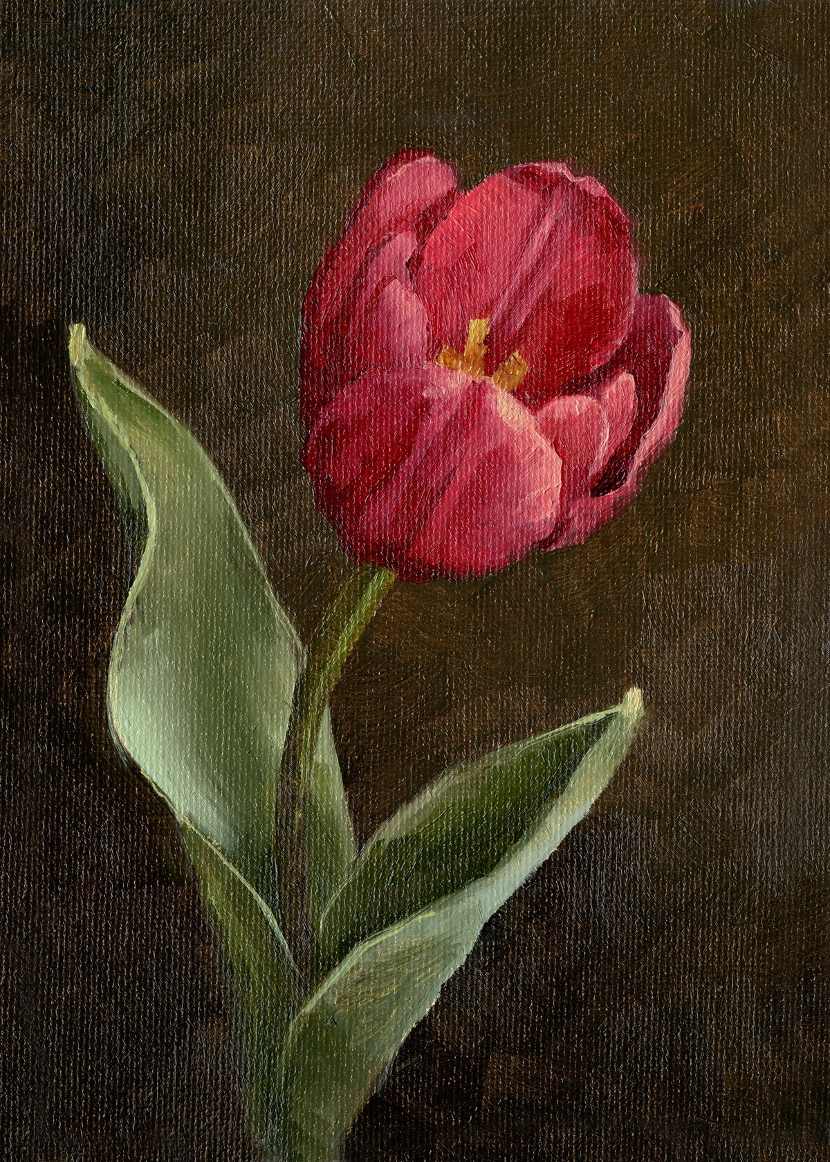Pink Tulip - Original Painting