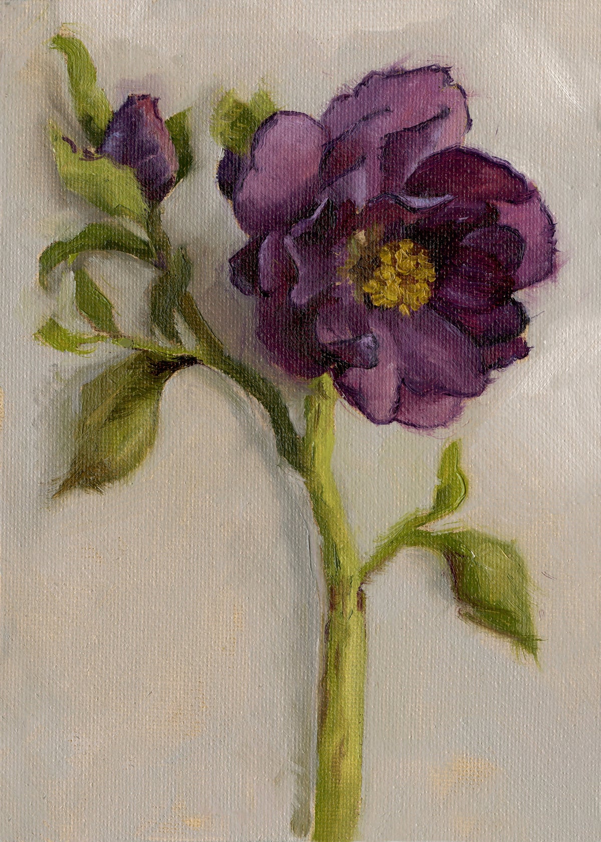 Purple Hellebore - Original Painting