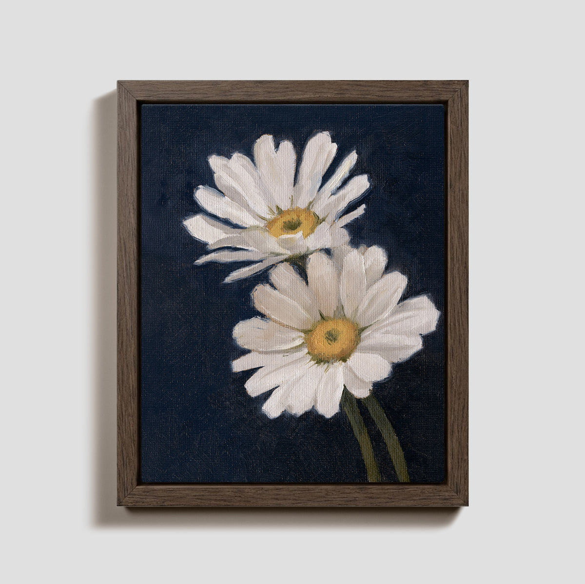 Day 21 - Daisies