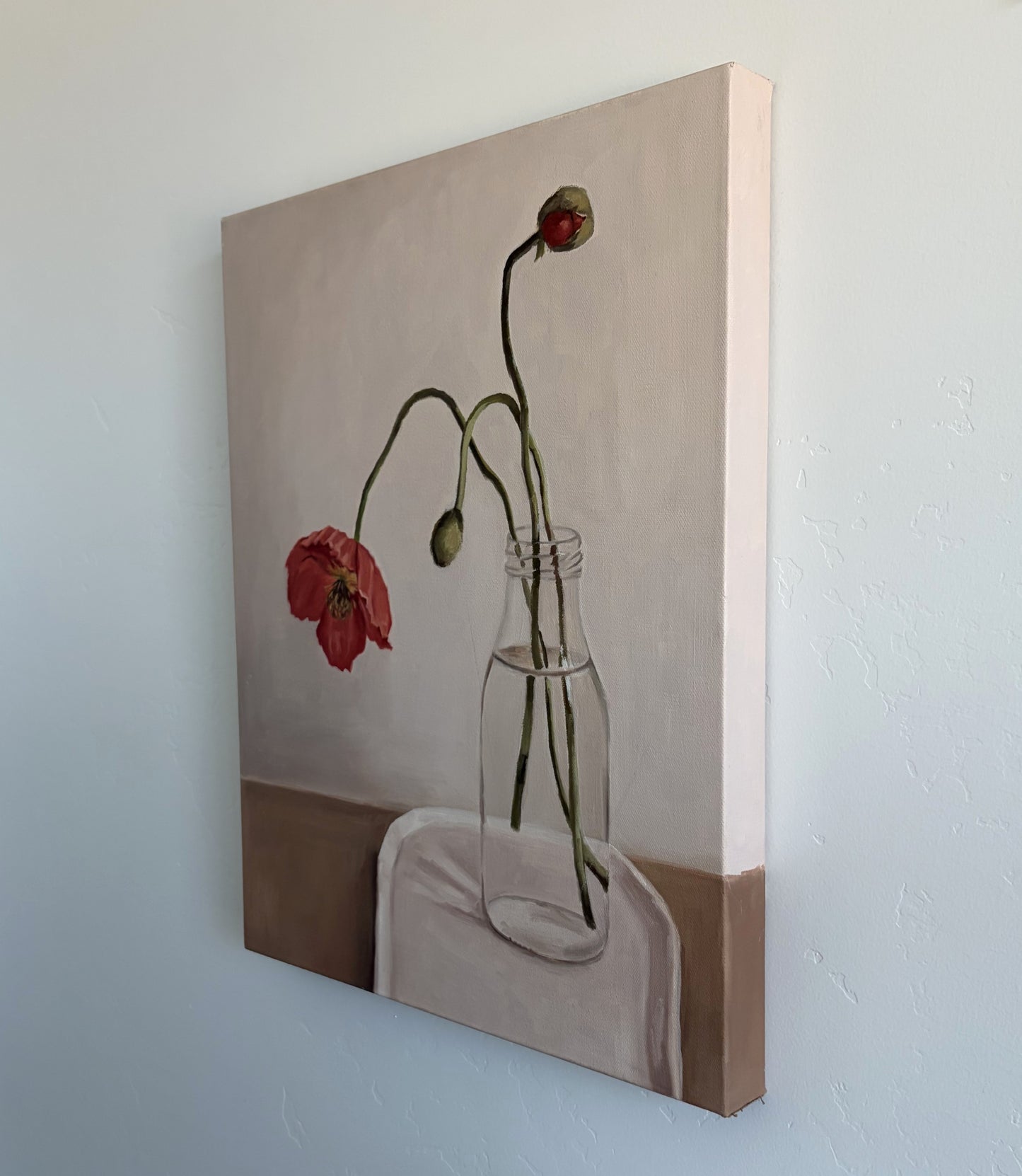 Wild Poppy