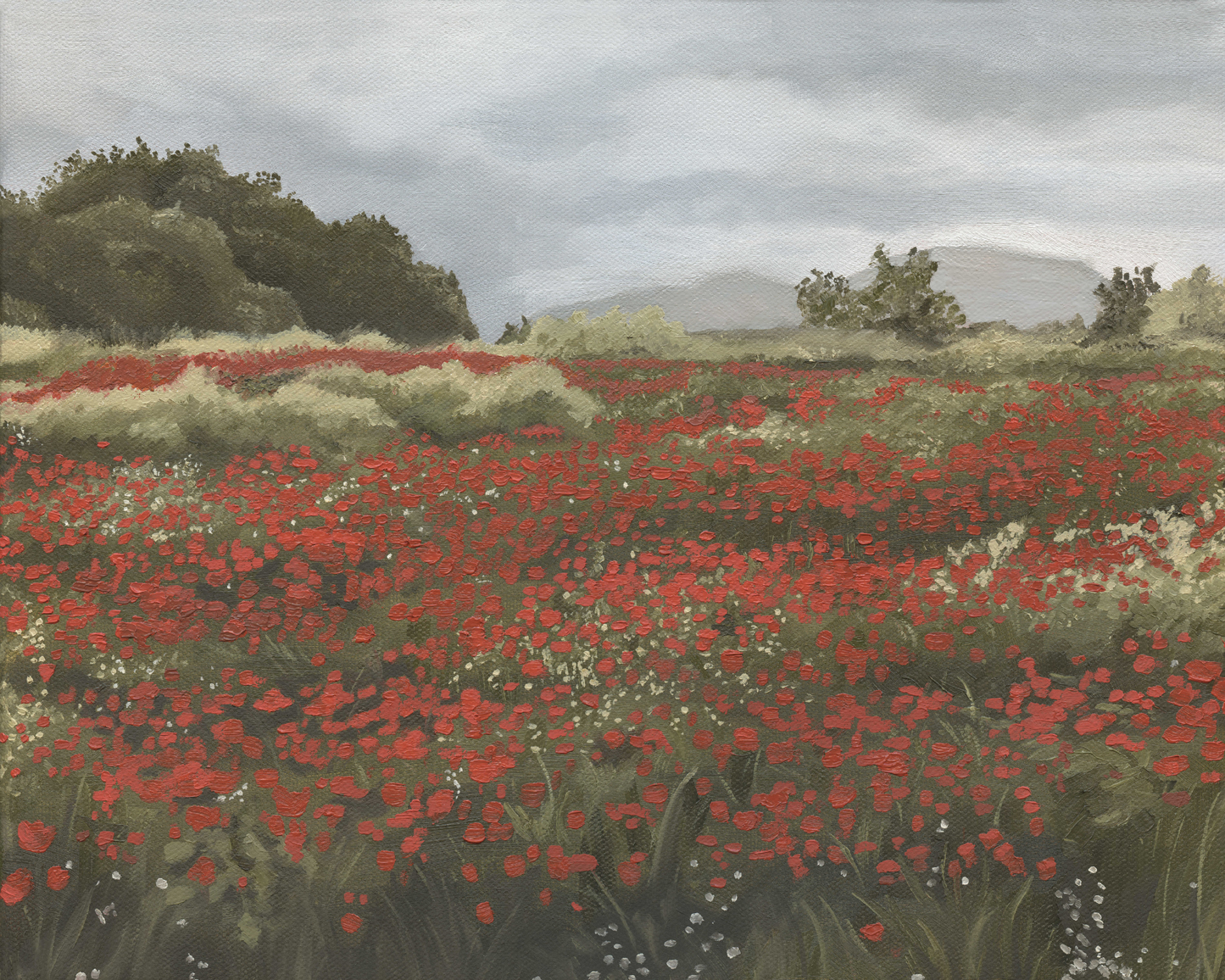 Poppy Field