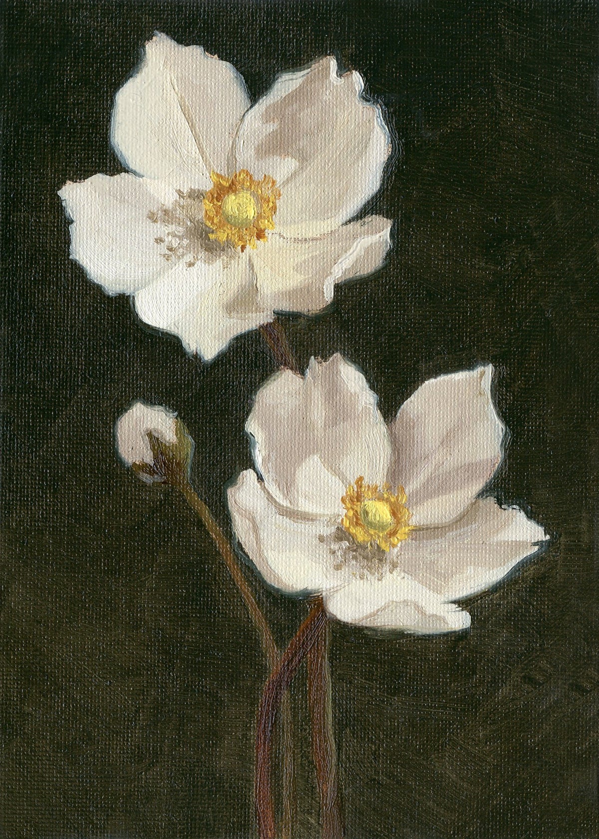 Anemones - Original Painting