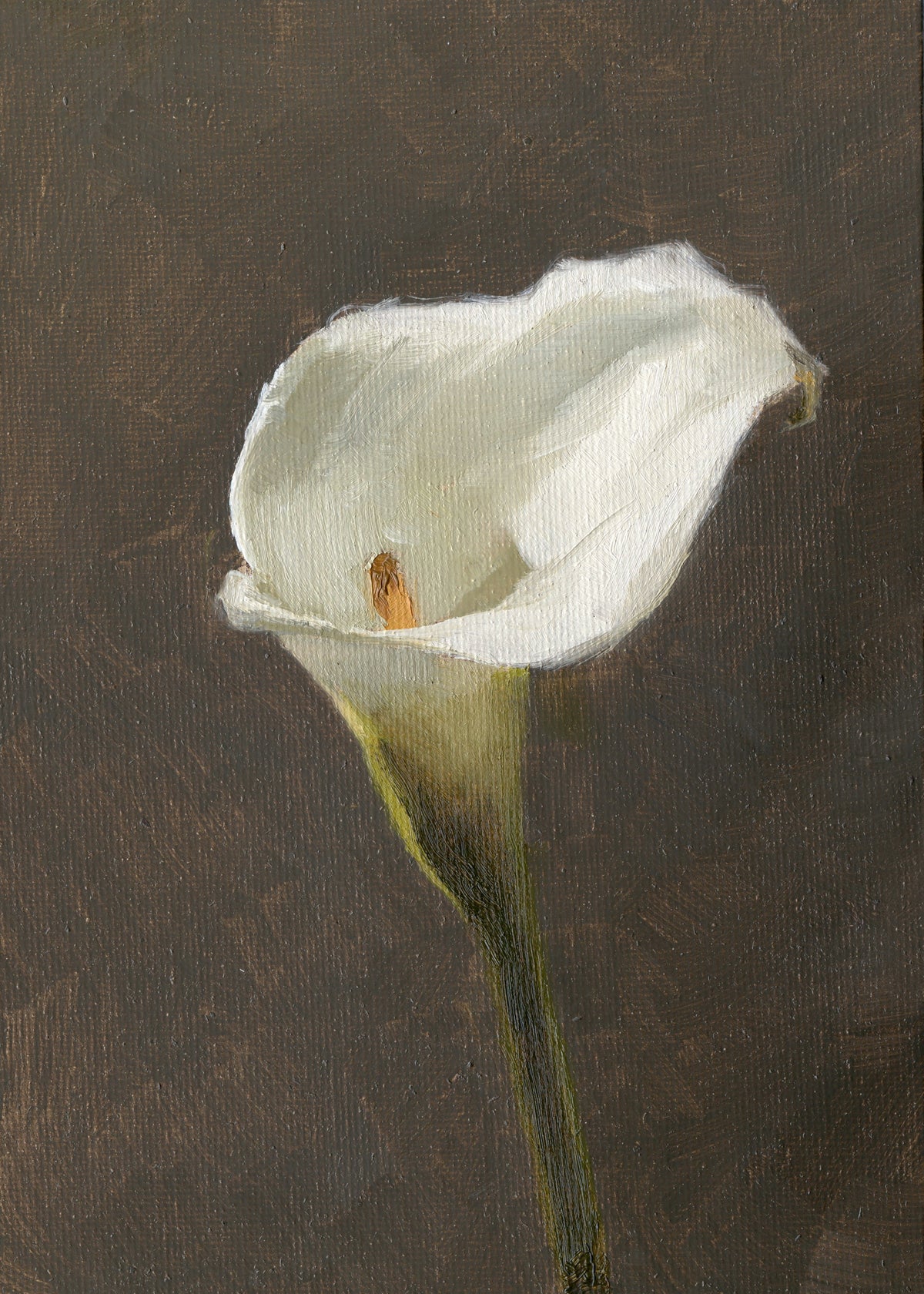 Calla Lily - Original Painting
