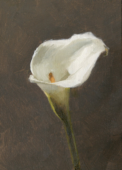Calla Lily - Original Painting