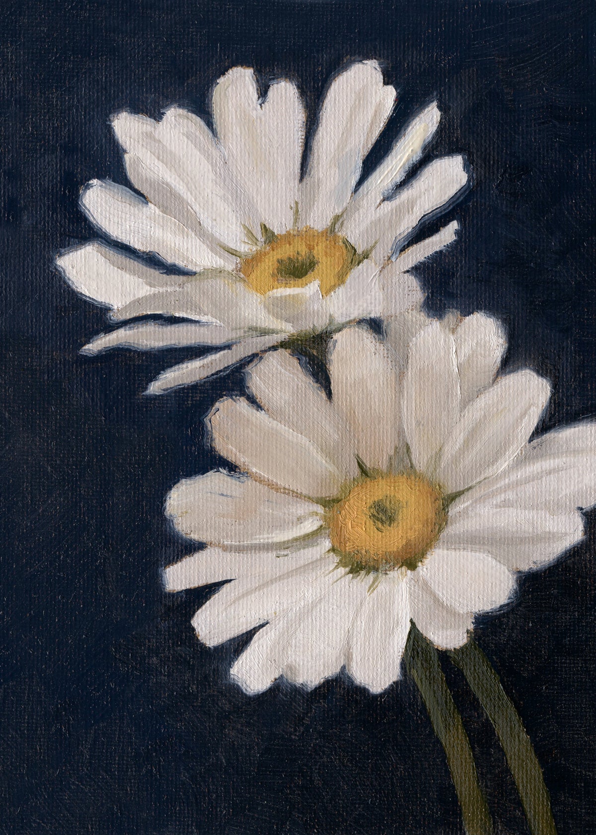 Daisies - Original Painting