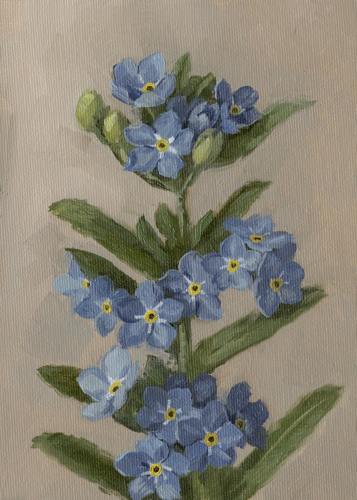 Forget Me Nots - Original Painting