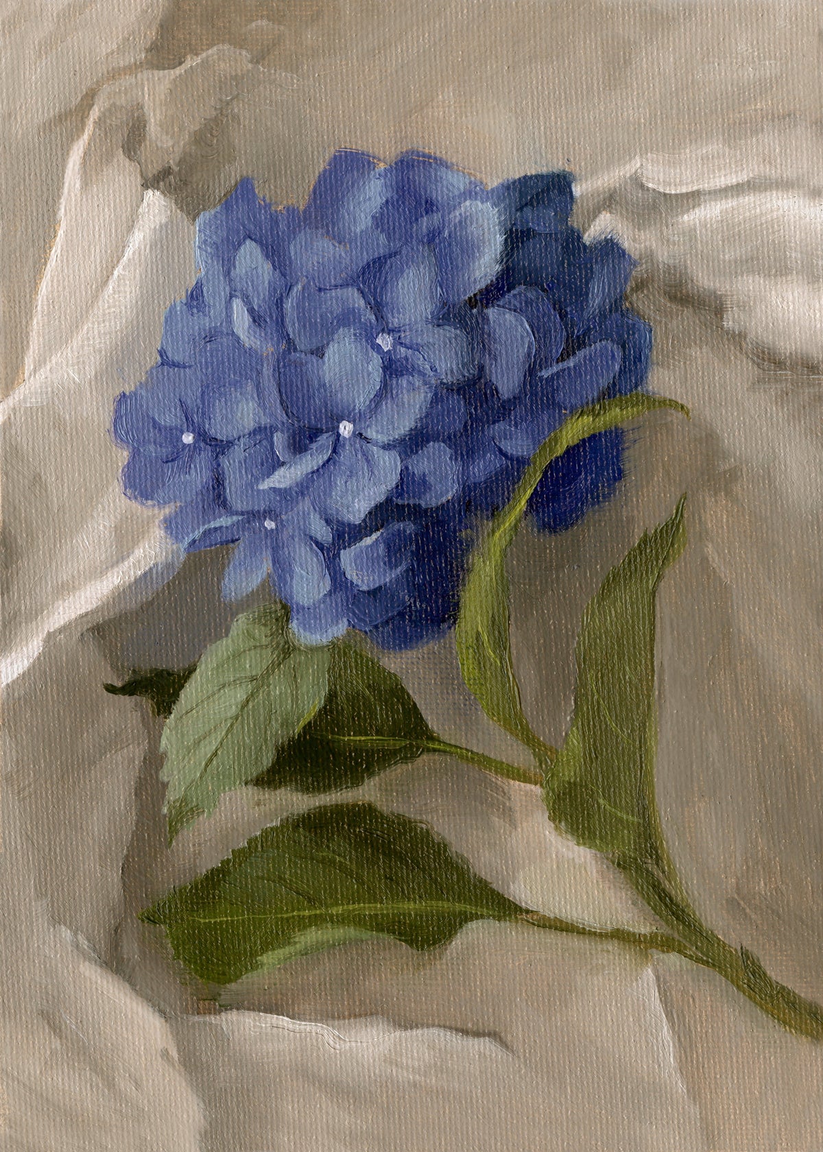 Hydrangea on Fabric - Original Painting