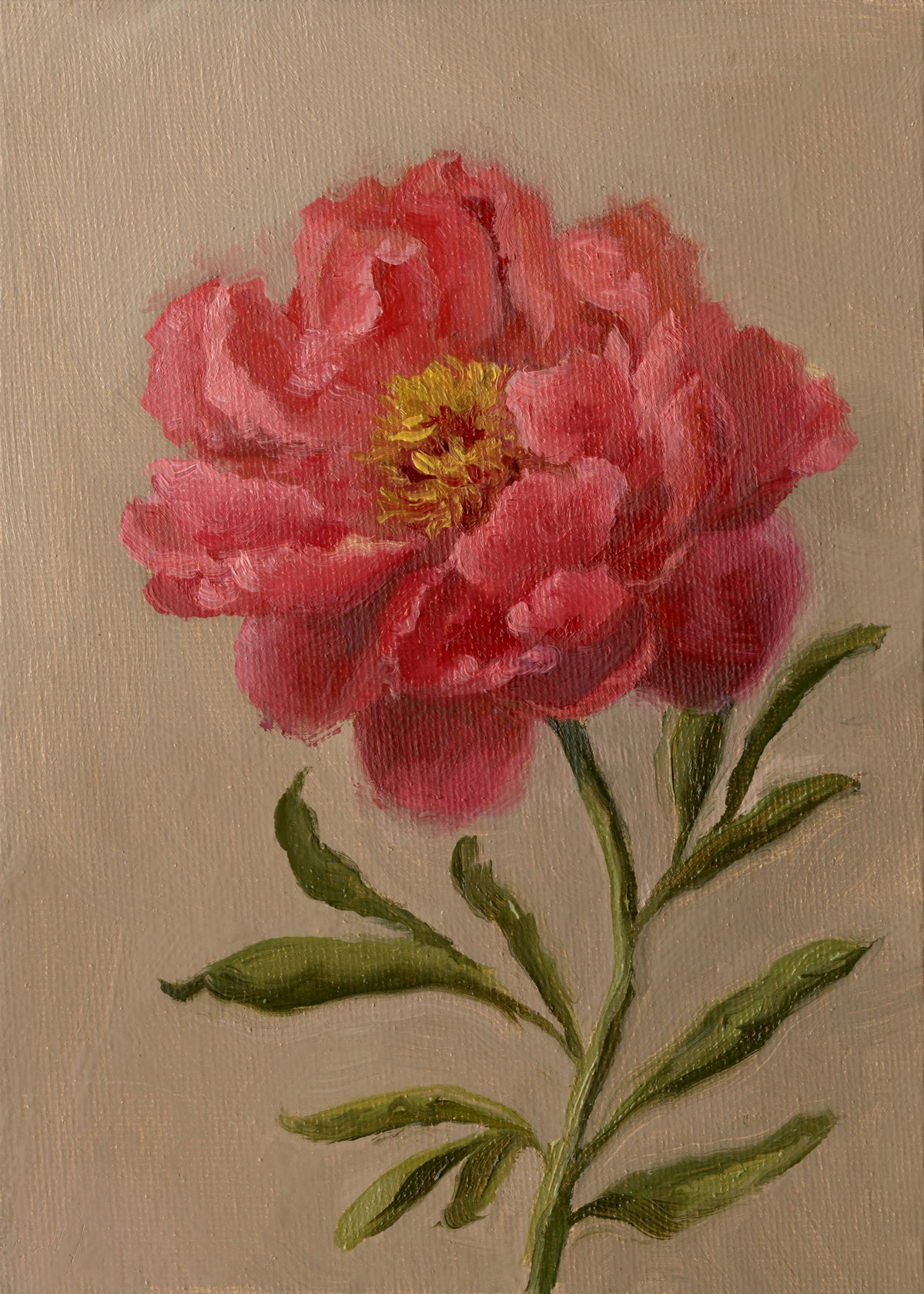 Pink Peony - Original Painting