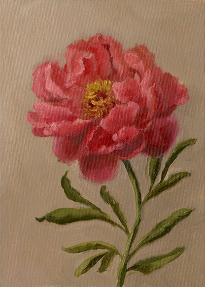 Pink Peony - Original Painting