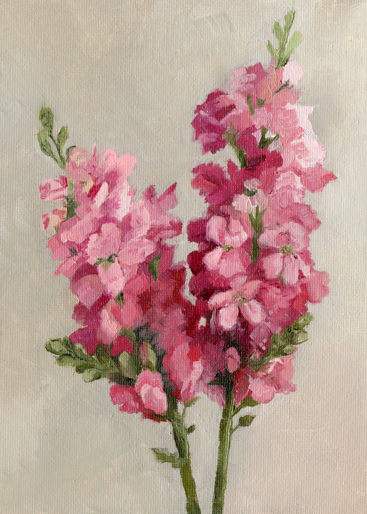 Snapdragon - Original Painting