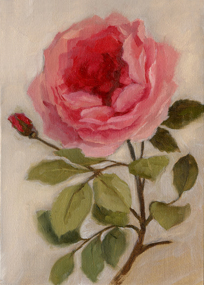 Garden Rose - Original Painting