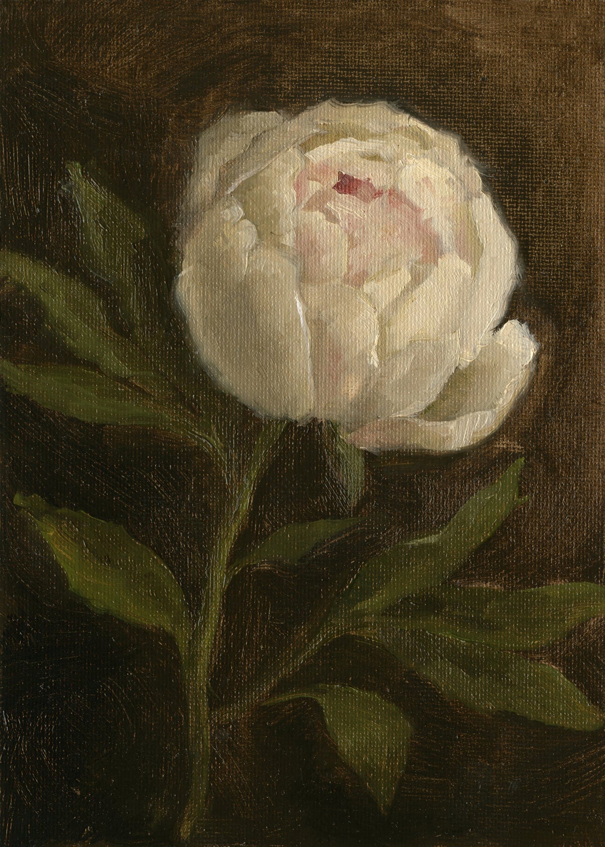 White Peony - Original Painting