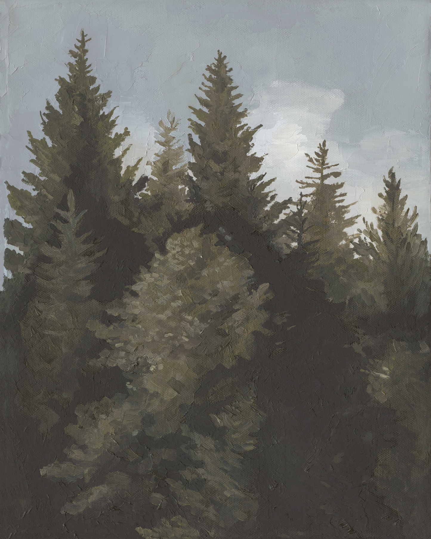 Winter Pines