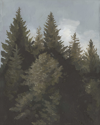 Winter Pines