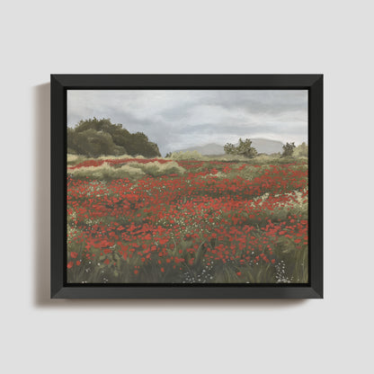 Poppy Fields