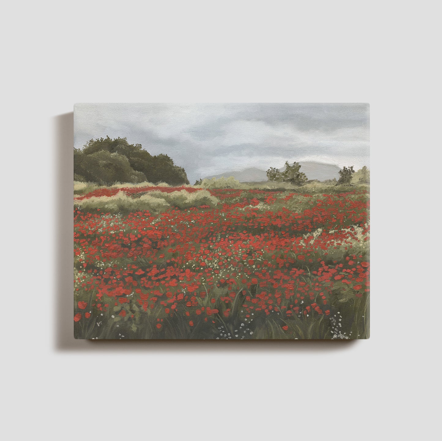 Poppy Fields