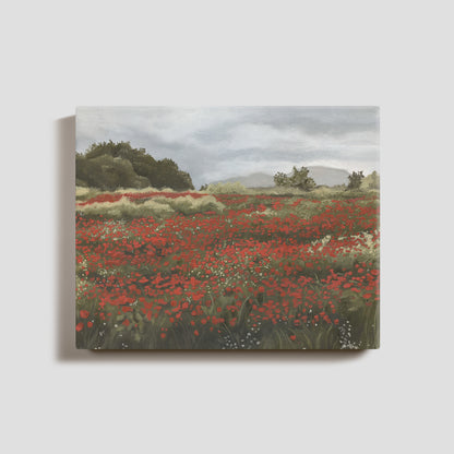Poppy Fields