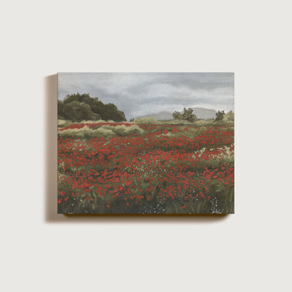 Poppy Fields with an Overcast Sky