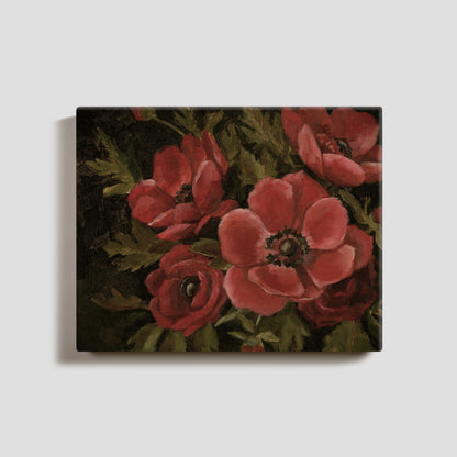 Red Anemones