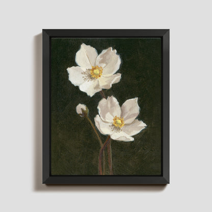 Day 27 - Anemone