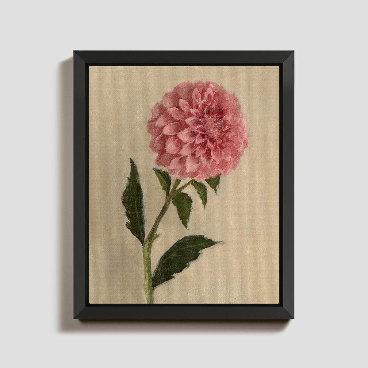 Day 16 - Dahlia