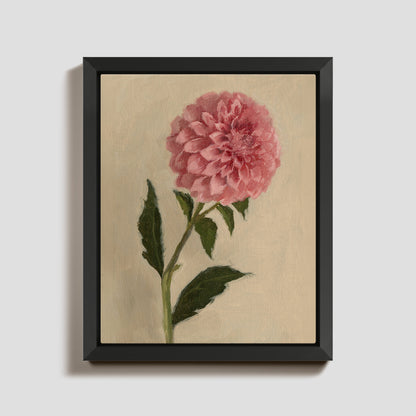 Day 16 - Dahlia