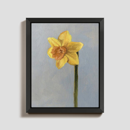 Day 26 - Daffodil