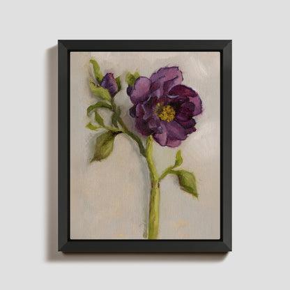 Day 4 - Hellebore