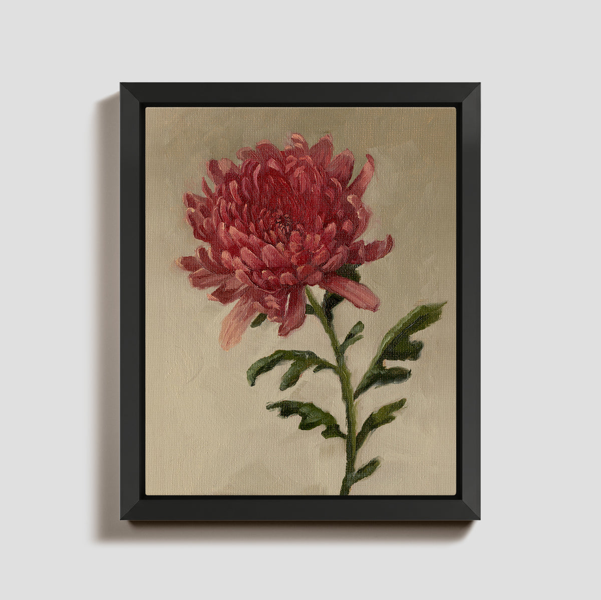 Day 14 - Chrysanthemum