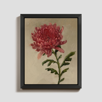 Day 14 - Chrysanthemum