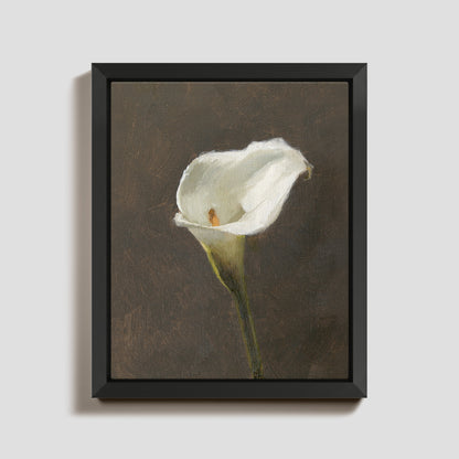 Day 22 - Calla Lily