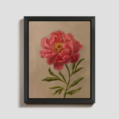 Day 11 - Peony