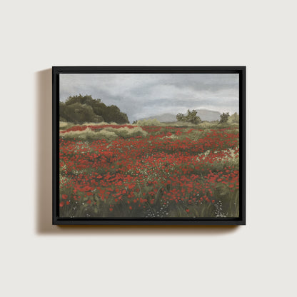 Poppy Fields with an Overcast Sky