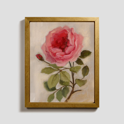 Day 3 - Garden Rose