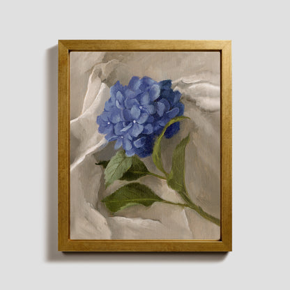 Day 12 - Hydrangea