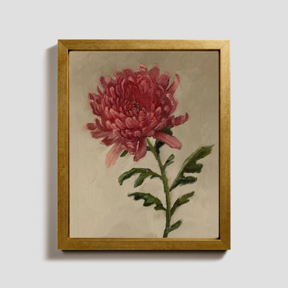 Day 14 - Chrysanthemum