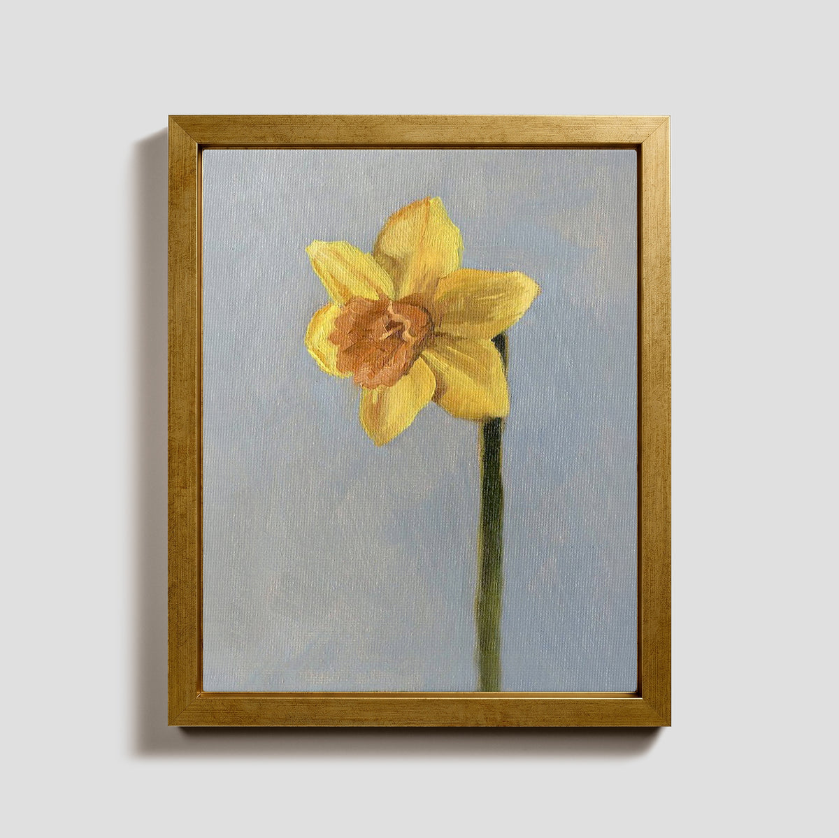 Day 26 - Daffodil