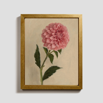 Day 16 - Dahlia