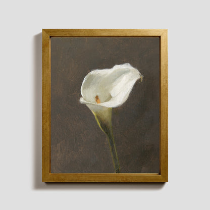 Day 22 - Calla Lily