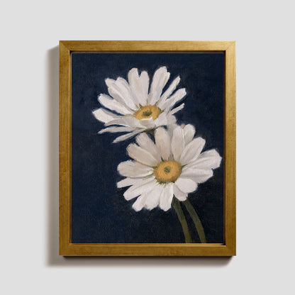 Day 21 - Daisies