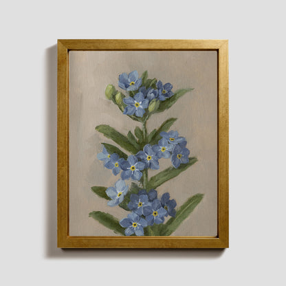 Day 13 - Forget Me Nots
