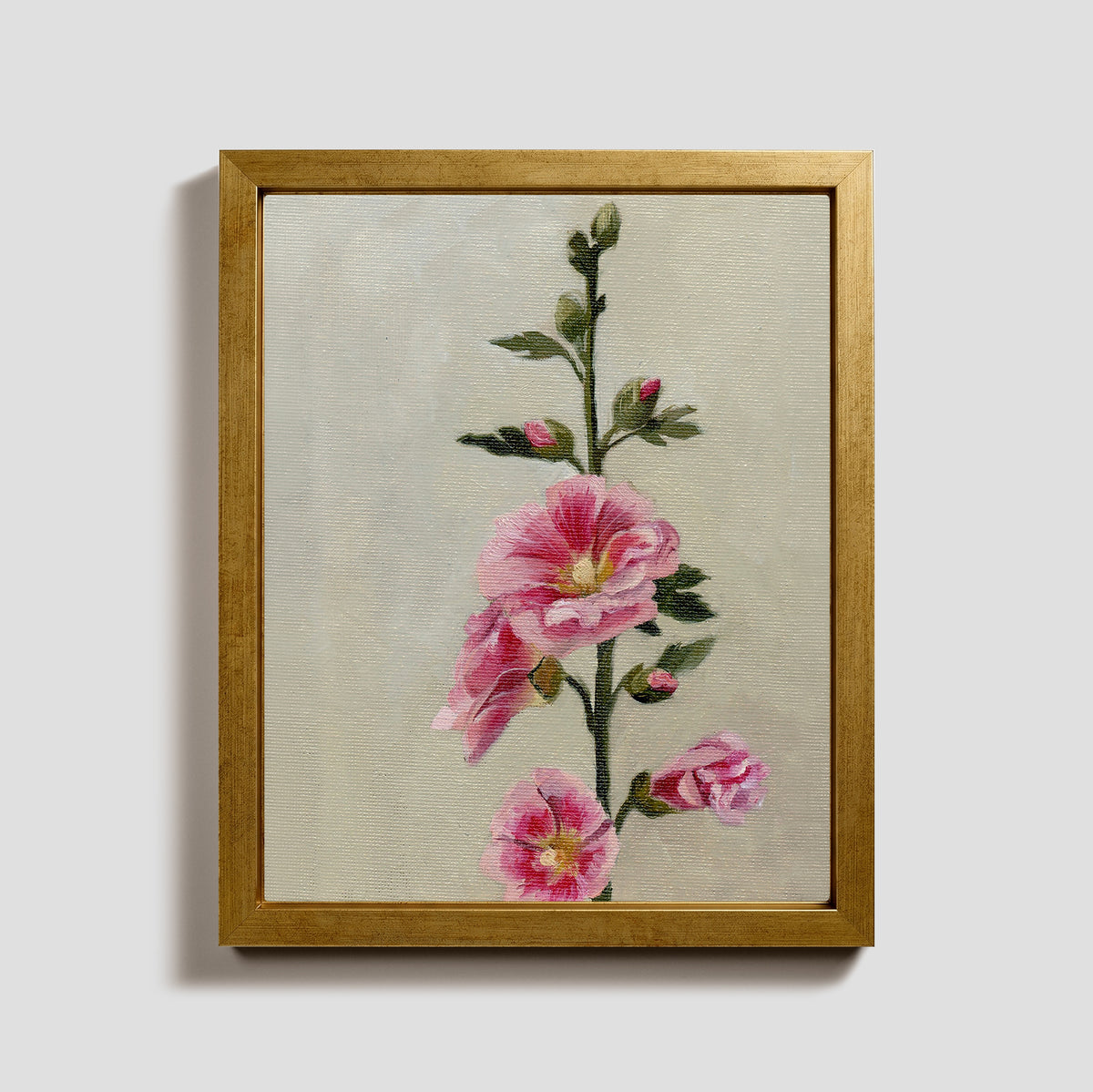 Day 28 - Hollyhock