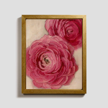Day 6 - Ranunculus
