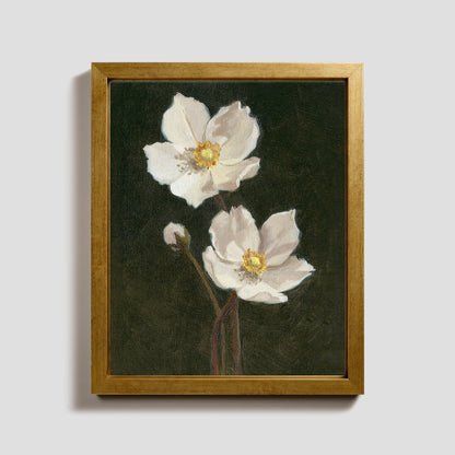 Day 27 - Anemone