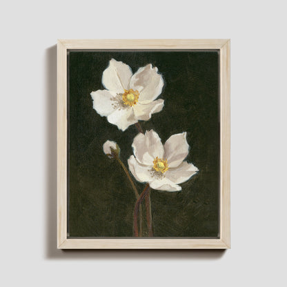 Day 27 - Anemone
