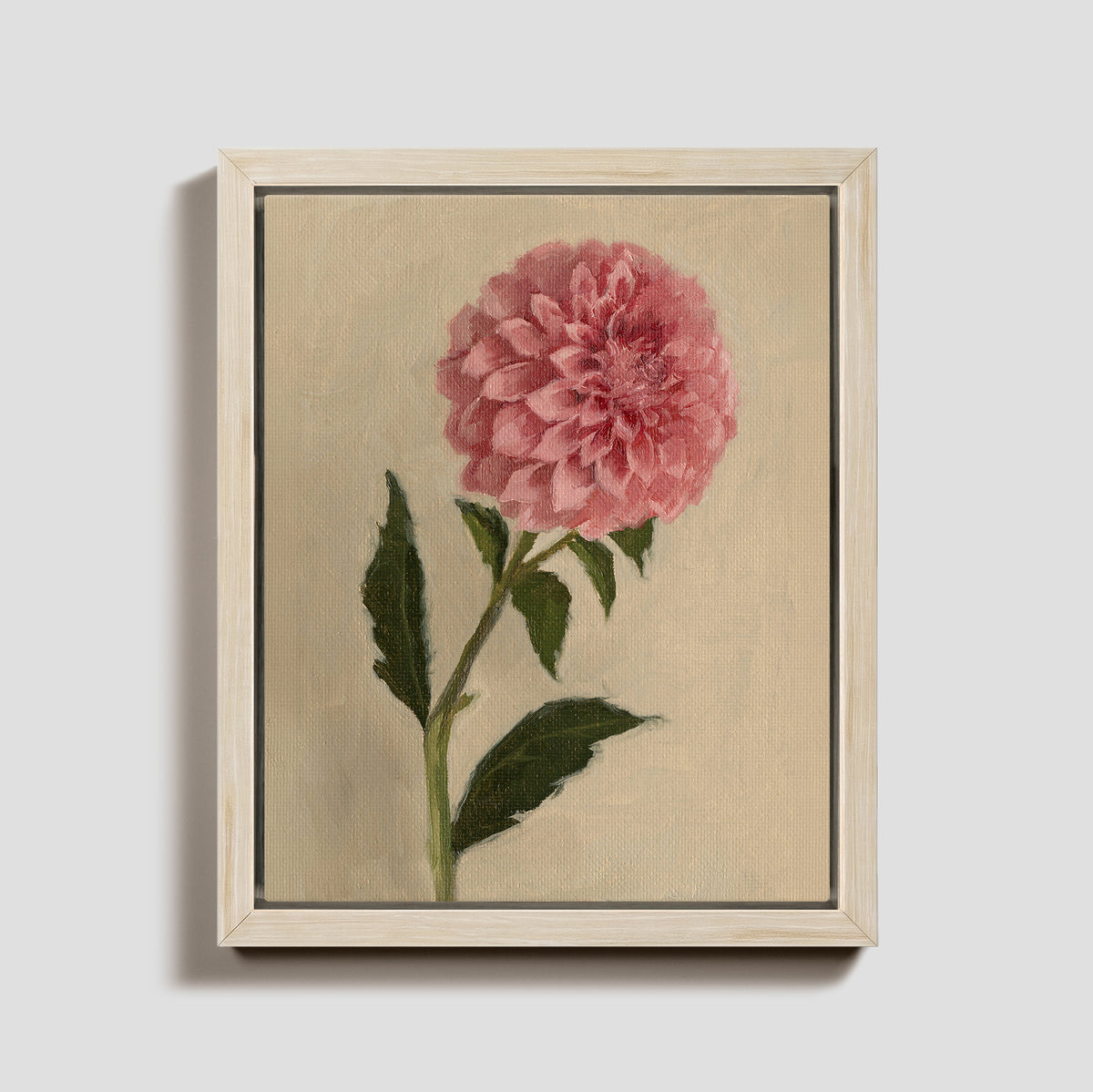 Day 16 - Dahlia