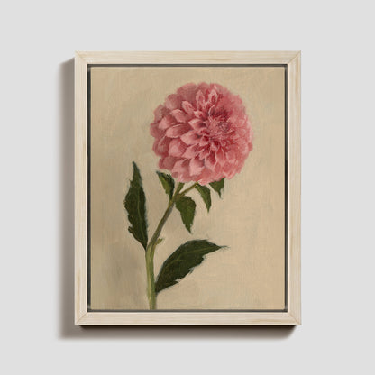 Day 16 - Dahlia