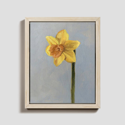 Day 26 - Daffodil